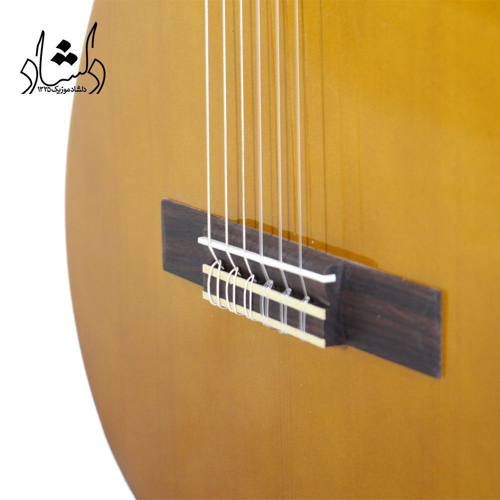 مشخصات گیتار یاماها C40