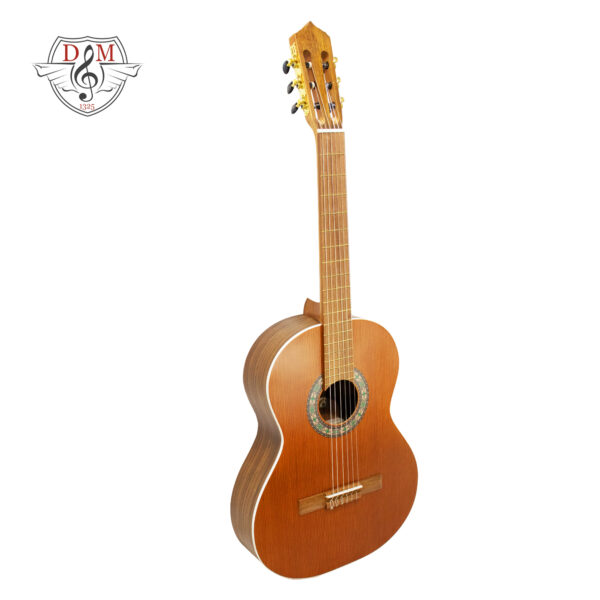 گیتار کلاسیک پارسی مدل Parsi-M6
