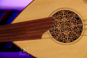 شبکه خروجی صدا و سیم های عود جلال