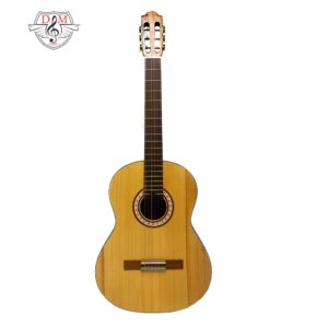 گیتار پارسی M7 موزیک دلشاد گیتار ایرانی فروش آنلاین