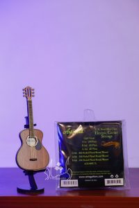 سیم گیتار الکتریک آریا Aria-AGS-800C/L