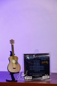 سیم گیتار الکتریک آریا Aria-AGS-800C/XL