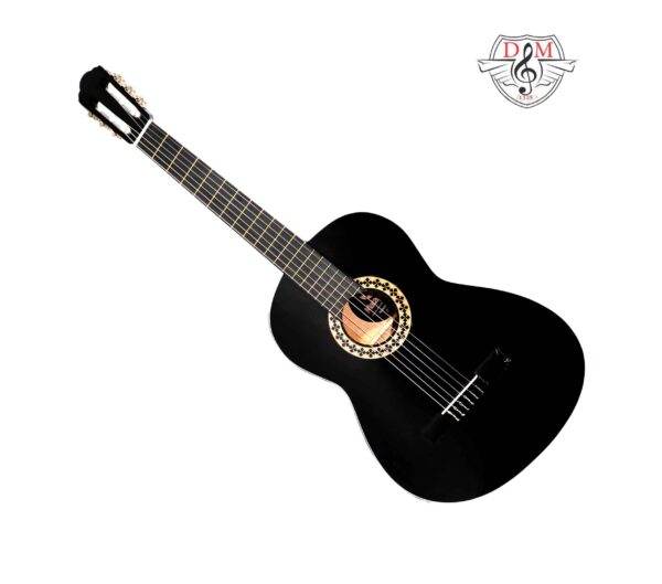 گیتار دلشاد مدل DM1 jpg2