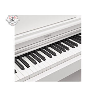 پیانو دیجیتال Yamaha YDP 164 White 04