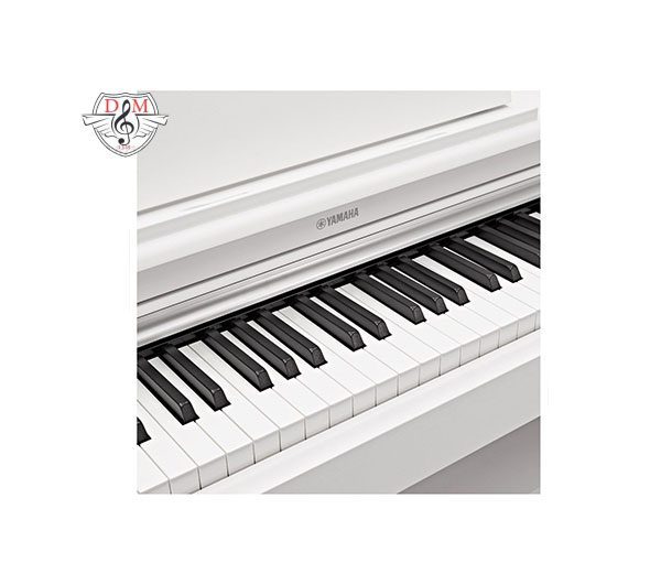 پیانو دیجیتال Yamaha YDP 164 White 04