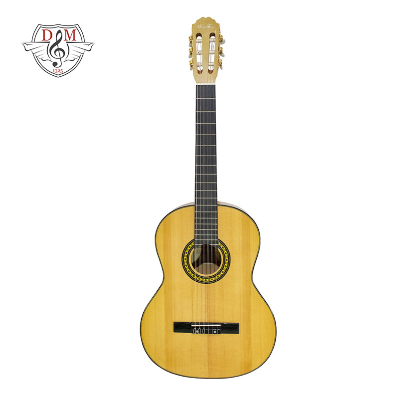 گیتار کلاسیک بست فان e160
