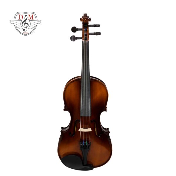 violinTF24 1