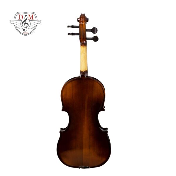violinTF24 2