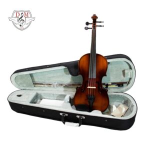 violinTF24 6