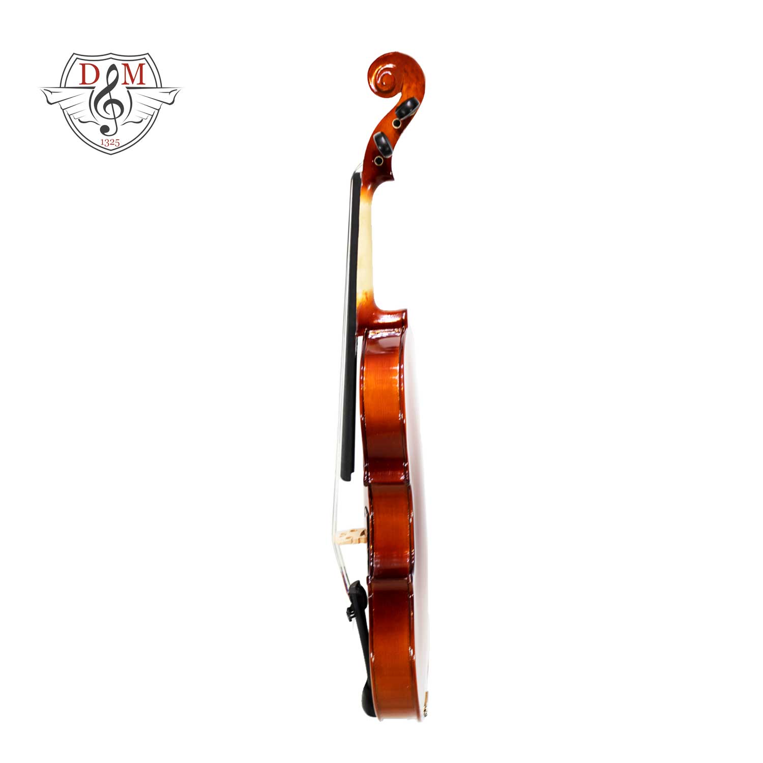 violinTF34 5