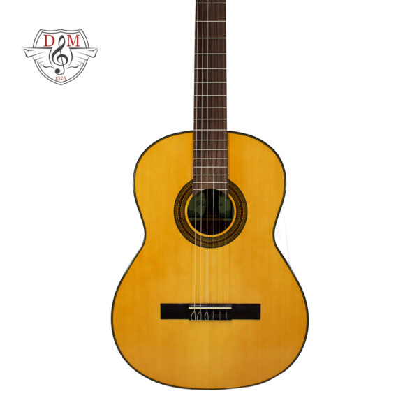 گیتار کلاسیک پالادو مدل CG80 44