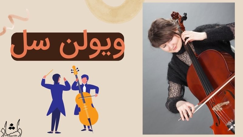 ویولن سل