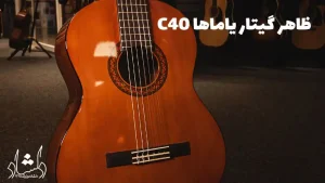 راهنمای خرید گیتار C40