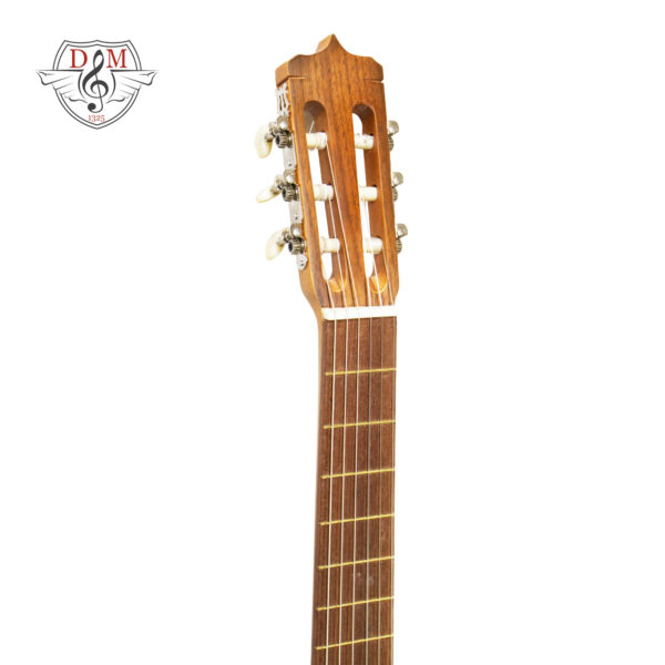 گیتار پارسی مدل p40