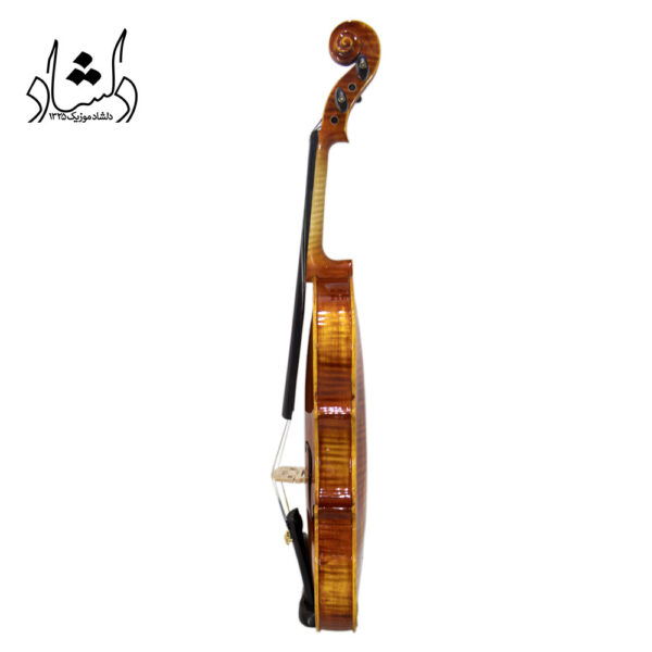 violon pjoneix vp601 دلشاد موزیک