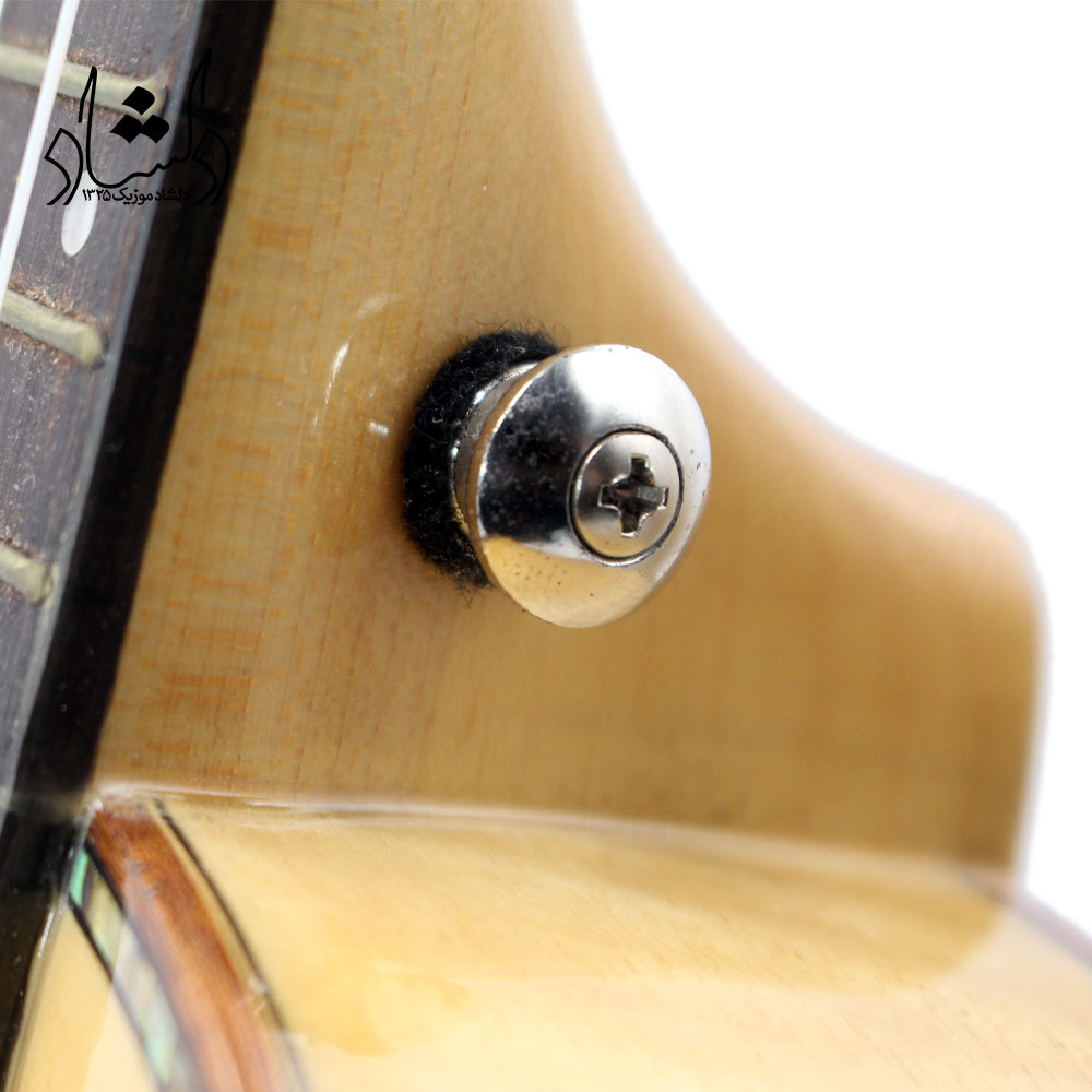 مشخصات فنی گیتار اوکوله له والنسیا