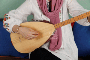دیوان دیار موزیک دسته بلند پیکاپ دار طرح ۲