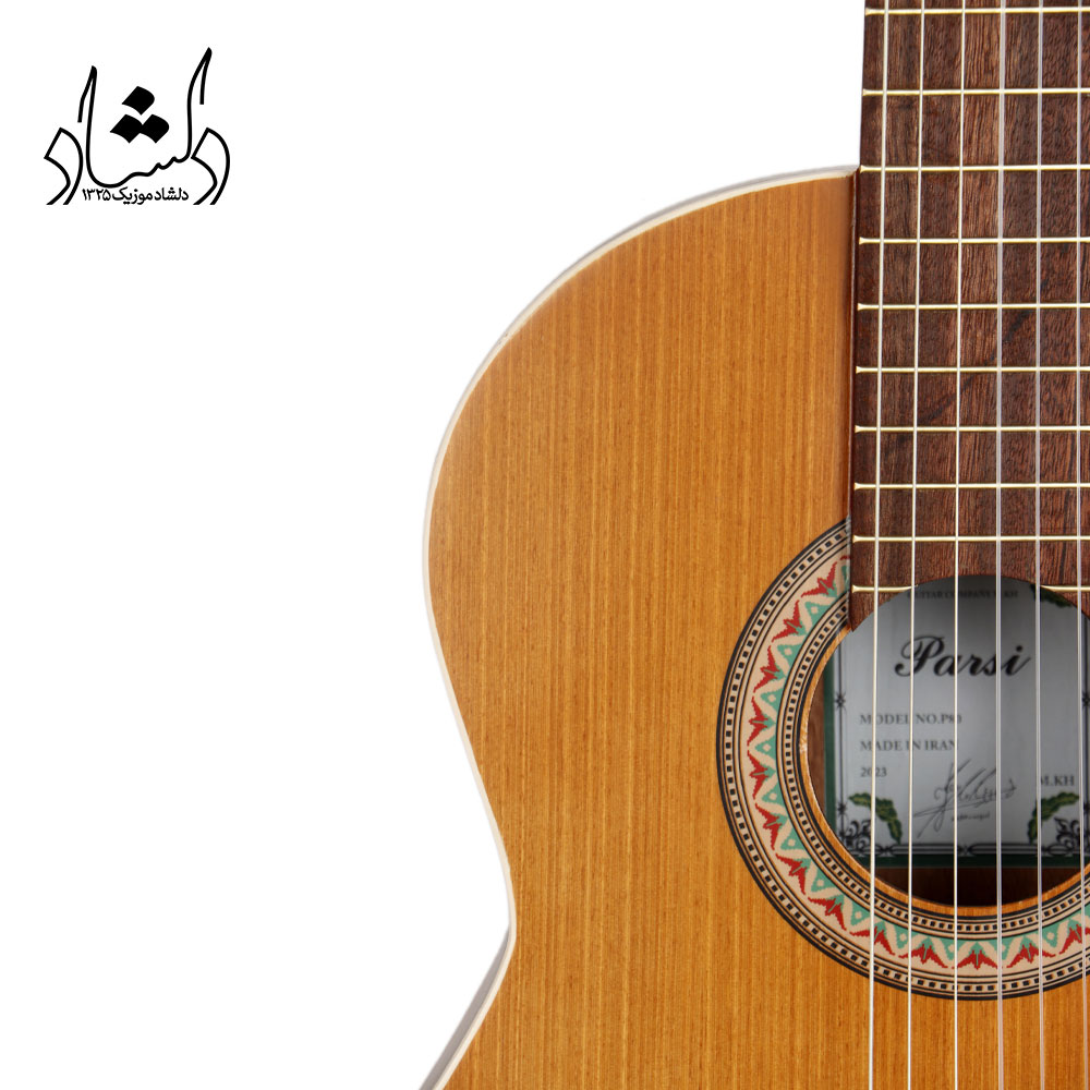 مشخصات گیتار پارسی P80