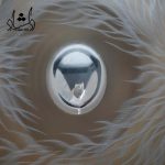جزئیات هنگ درام تایتان سوپر پلیش