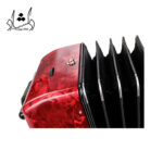 مشخصات آکاردئون HOHNER A16431 BRAVO III 80RED