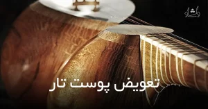 وبلاگ تعویض پوست تار