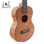 بدنه 2 گیتار اوکوله له فندر آرم رست دار