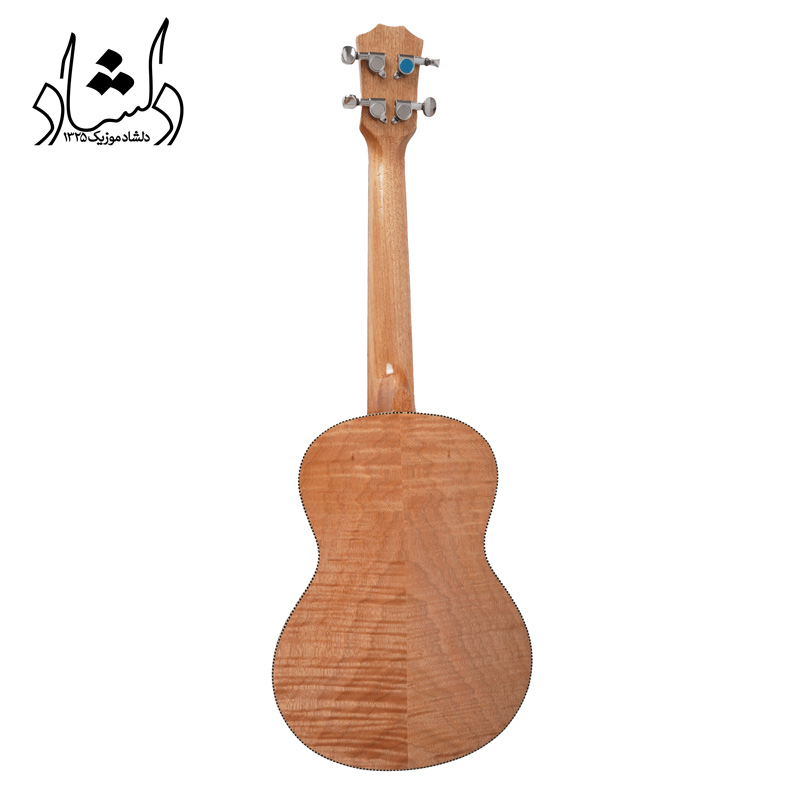 گیتار اوکوله له آرم رست دار