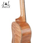 گیتار اوکوله له فندر آرم رست دارر