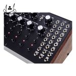 ابعاد سینتی سایزر موگ Moog DFAM