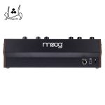 جزئیات سینتی سایزر موگ Moog DFAM