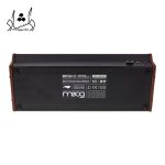 مشخصات سینتی سایزر موگ Moog Mother-32