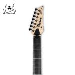 مشخصات گیتار الکتریک IBANEZ APEX200