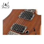 خرید قسطی گیتار الکتریک IBANEZ RG421 MOL