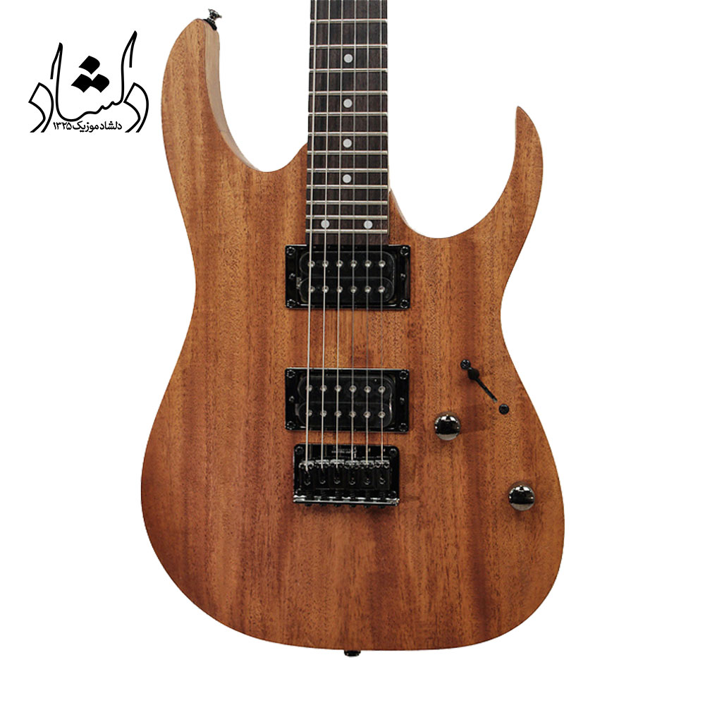 قیمت گیتار الکتریک IBANEZ RG421 MOL