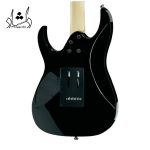 مشخصات گیتار الکتریک آیبانز Ibanez GRG170DX BKN