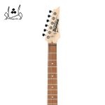 مشخصات گیتار الکتریک آیبانز Ibanez GRX40 MLB