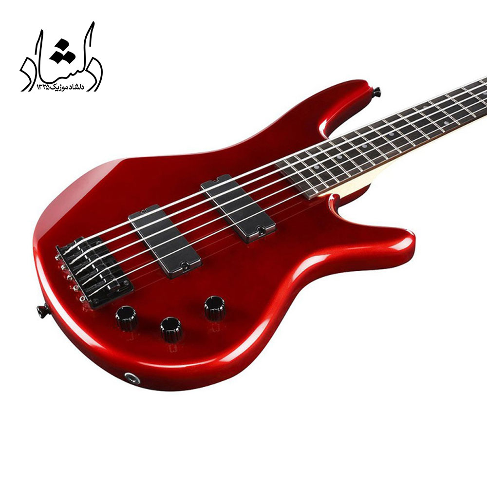 قیمت گیتار بیس IBANEZ GSR325 CA