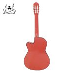 بک گیتار کلاسیک دیاموند رنگی گلبهی