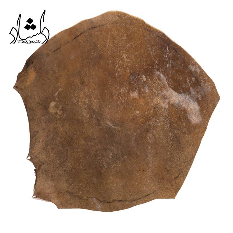 خرید پوست تنبک