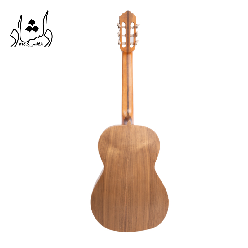 بدنه گيتار آگرين طرح 4