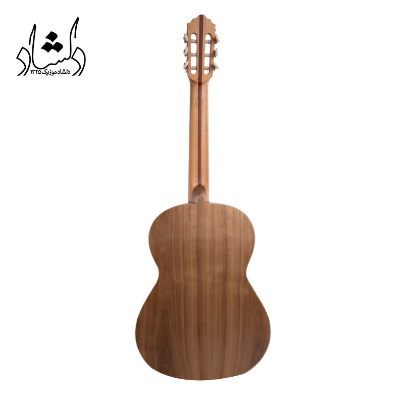 بدنه گيتار آگرين طرح 5