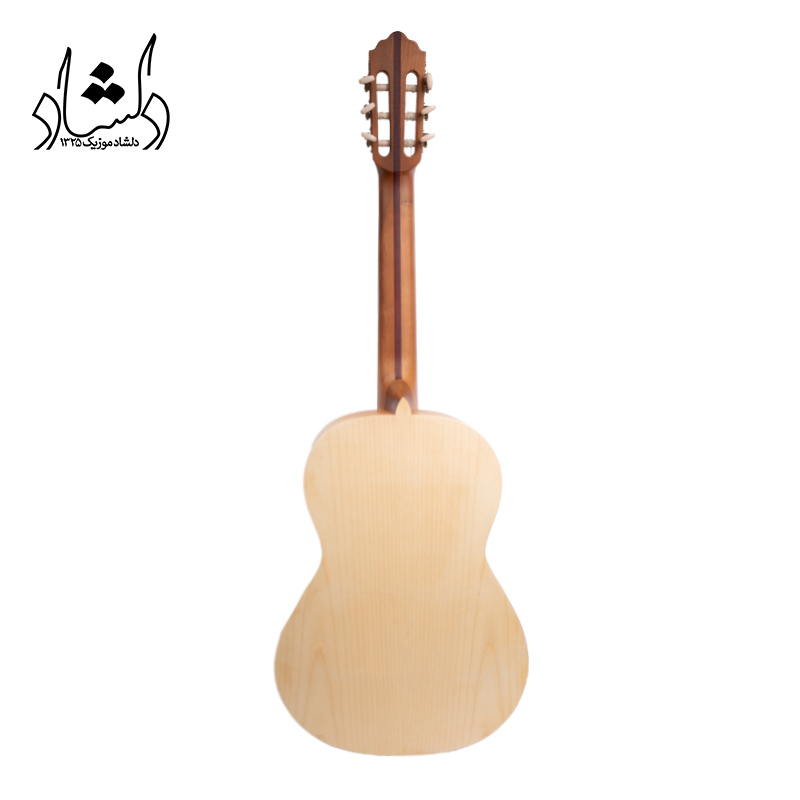 بدنه گيتار آگرين طرح 6
