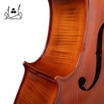 جزئیات بدنه ويولنسل فونيکس MCP505 E سايز 4.4.jpg