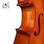 جزئیات بدنه ويولنسل فونيکس مدل CP101 E سايز 4.4