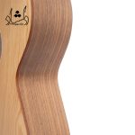 جزئیات بدنه گيتار آگرين طرح 4