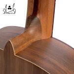 جزئیات بدنه گيتار آگرين طرح 5