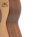 خرید گيتار آگرين طرح 5