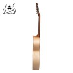 خرید گيتار آگرين طرح 6