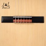سیم گیر گيتار آگرين طرح 5