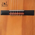 سیم گیر گيتار آگرين طرح 6